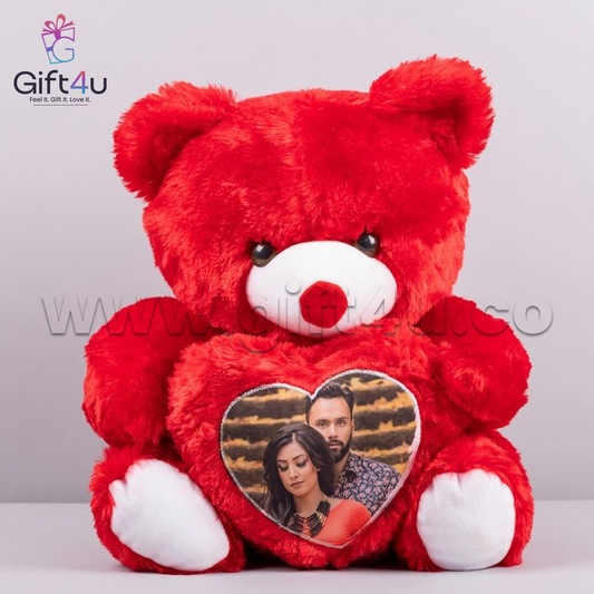 G4U PL18 SnuggleFrame – Teddy with Photo Pillow