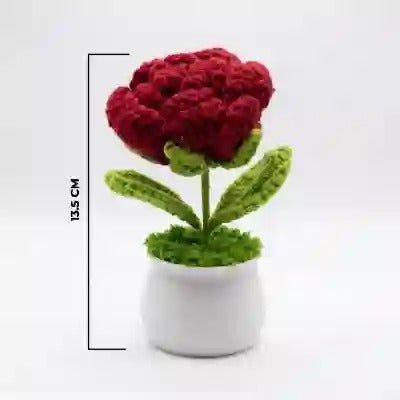 Crochet Red Rose Pot 🌹