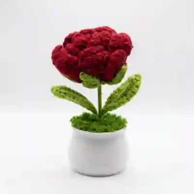 Crochet Red Rose Pot 🌹